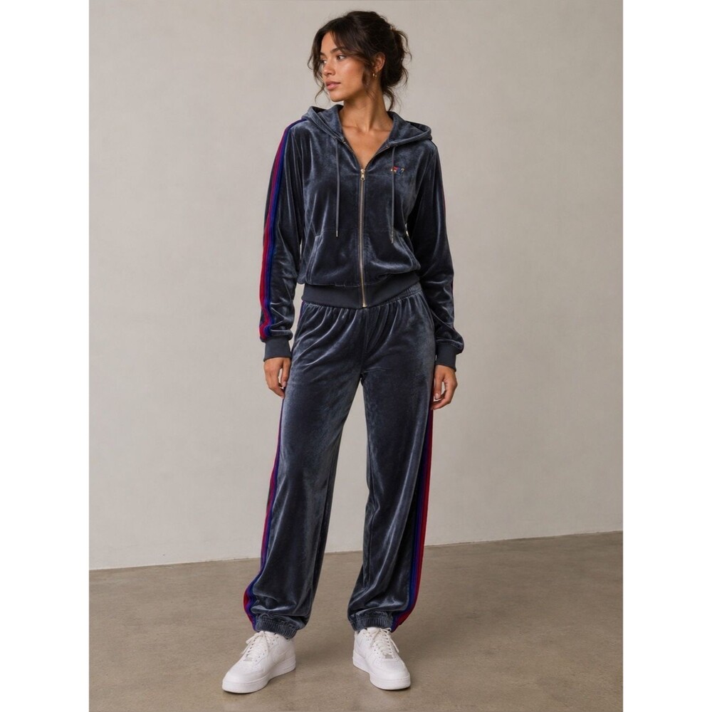 Rare Aviator Nation gray velvet set